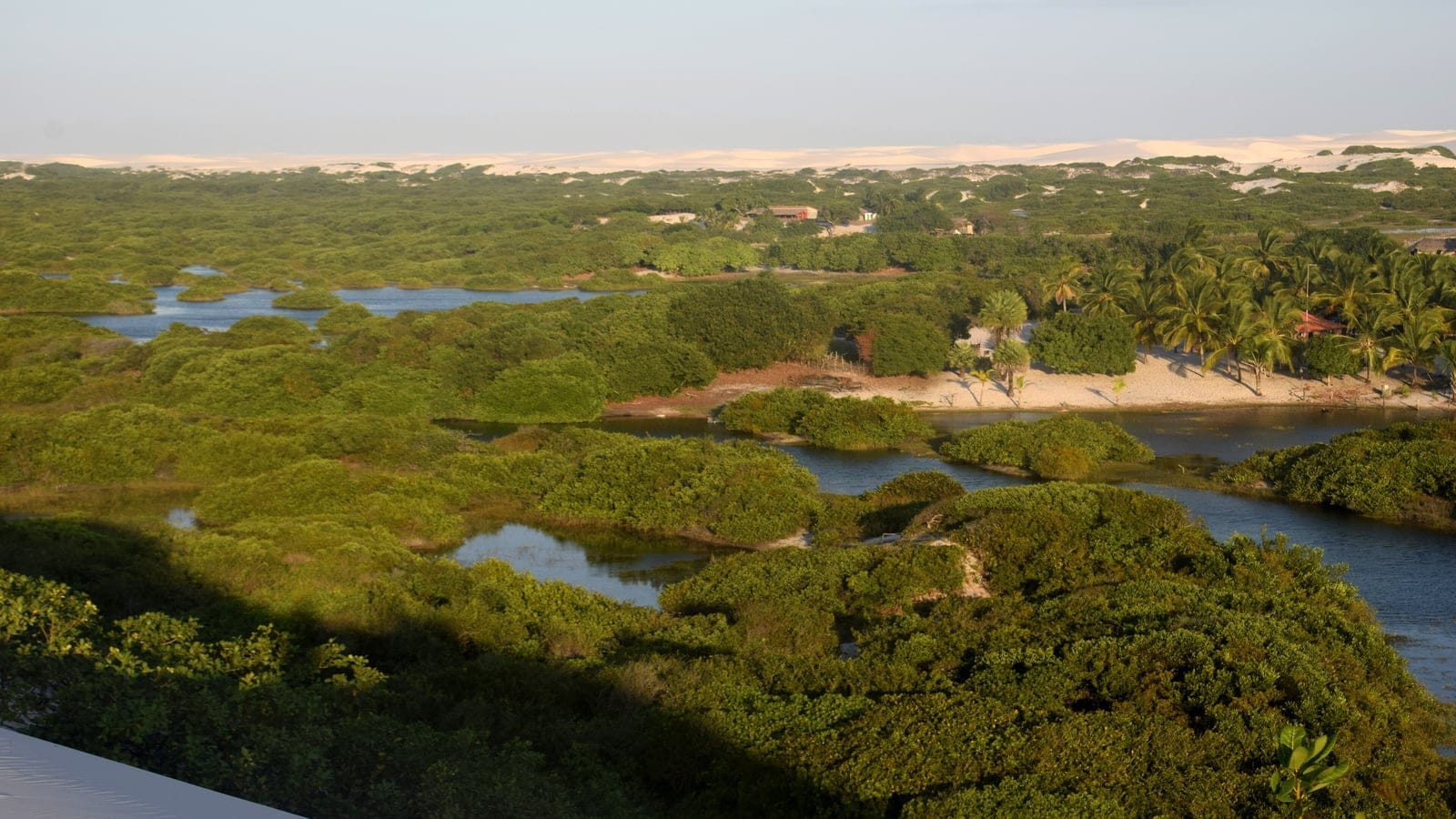Restinga scrub and lagoons below white dunes at Lencois Maranhenses, Brazil.