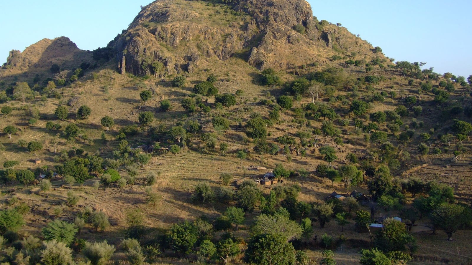 Scattered trees and terraced fields over a rocky hill in the Mandara Mountains, Cameroon.