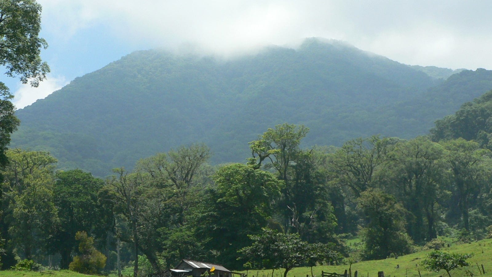 Cloud sitting on the forested cone of San Martin Tuxtla above pasture and remnant trees, Veracruz, Mexico.