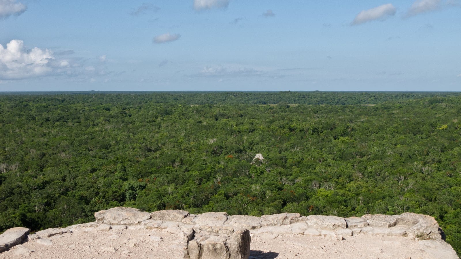 Dosel bajo y continuo de bosque que se extiende hasta un horizonte plano, visto desde la cima de una pirámide en Cobá, Quintana Roo, México.