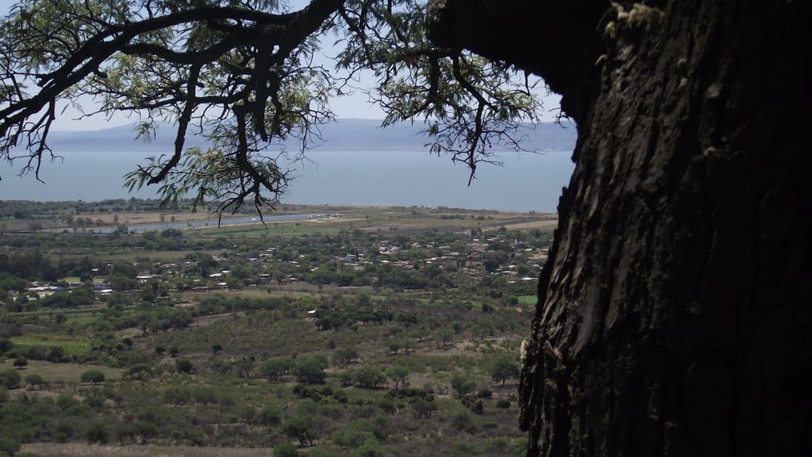 Dry scrub and scattered trees above Lake Chapala at Santa Cruz de la Soledad, Jalisco.