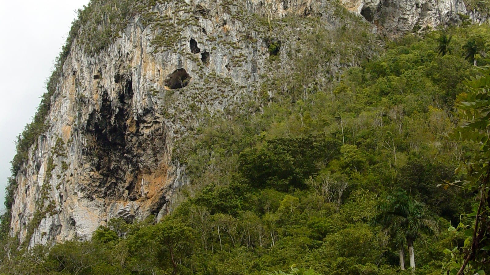 Karst mountain and dry forest vegetation in Pinar del Rio Province, Cuba.