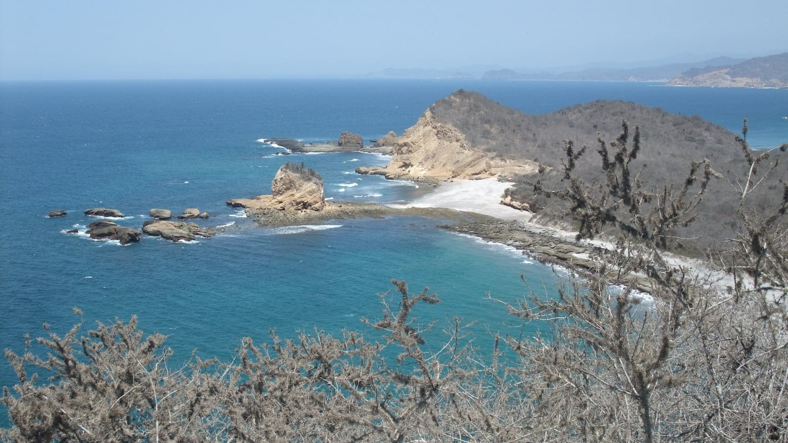 Dry forest and coastal hills in Machalilla National Park, Ecuador.