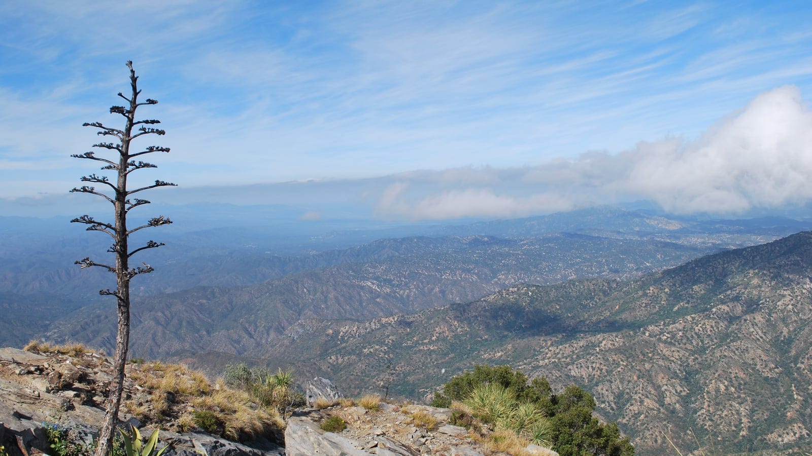 Panorama from El Picacho in the Sierra de la Laguna.