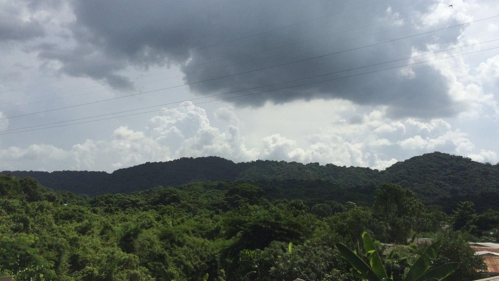 Paisaje de bosque seco en el Santuario de Fauna y Flora Los Colorados, Colombia.