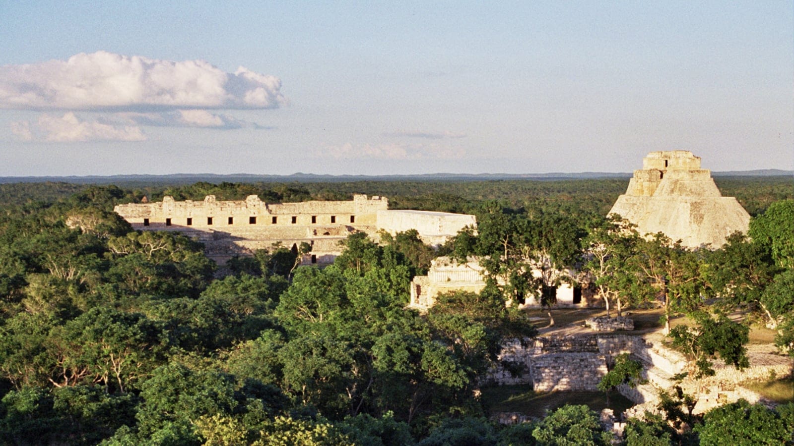 Uxmal's Nunnery range and Pyramid of the Magician rising from low dry forest canopy, Yucatan, Mexico.
