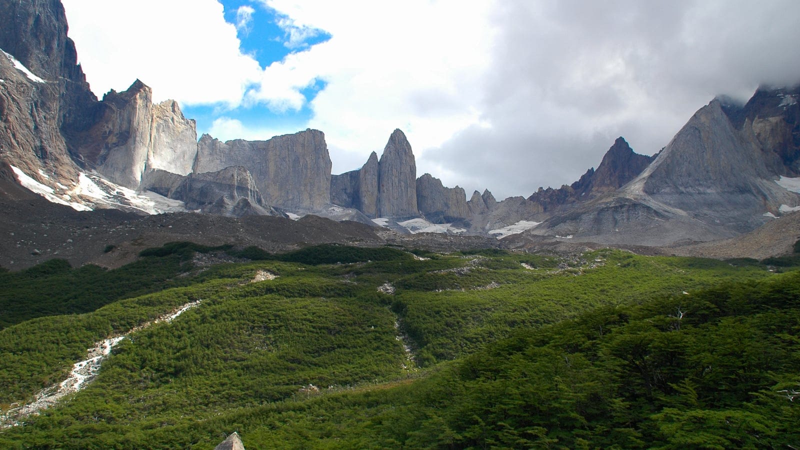 Southern beech forest below the granite towers of Valle del Frances, Torres del Paine.