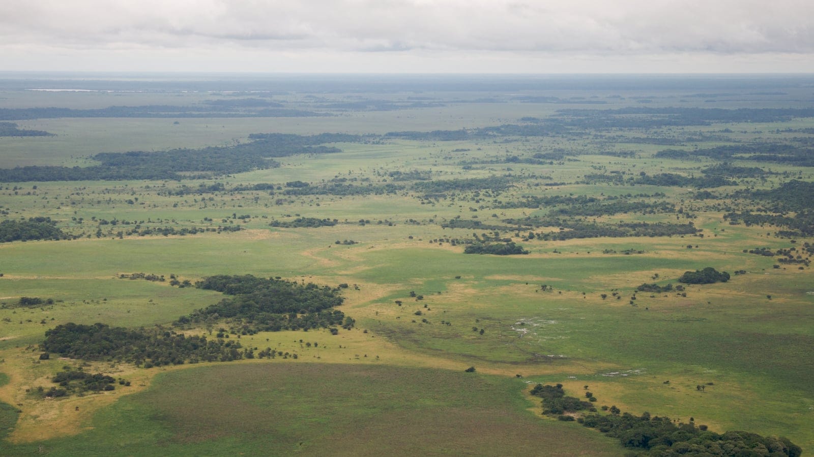 Vista aérea de pastizales e islas de bosque en la Beni savanna, Bolivia.