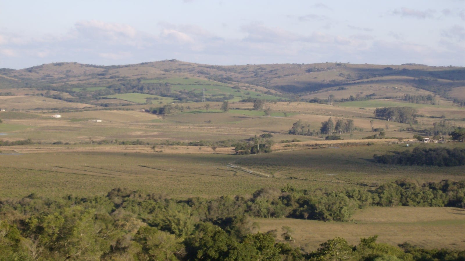 Grazed grassy hills broken by crop fields, eucalyptus rows and farm sheds near Morro Redondo, Rio Grande do Sul, Brazil.