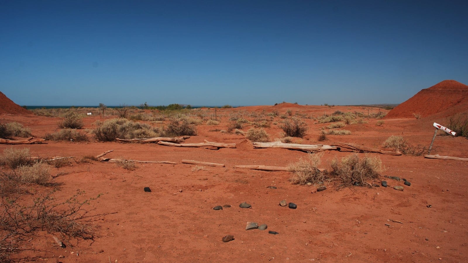 Arbustos verde grisáceo sobre suelo desértico rojo por encima del lago Barreales, Neuquén, Argentina.