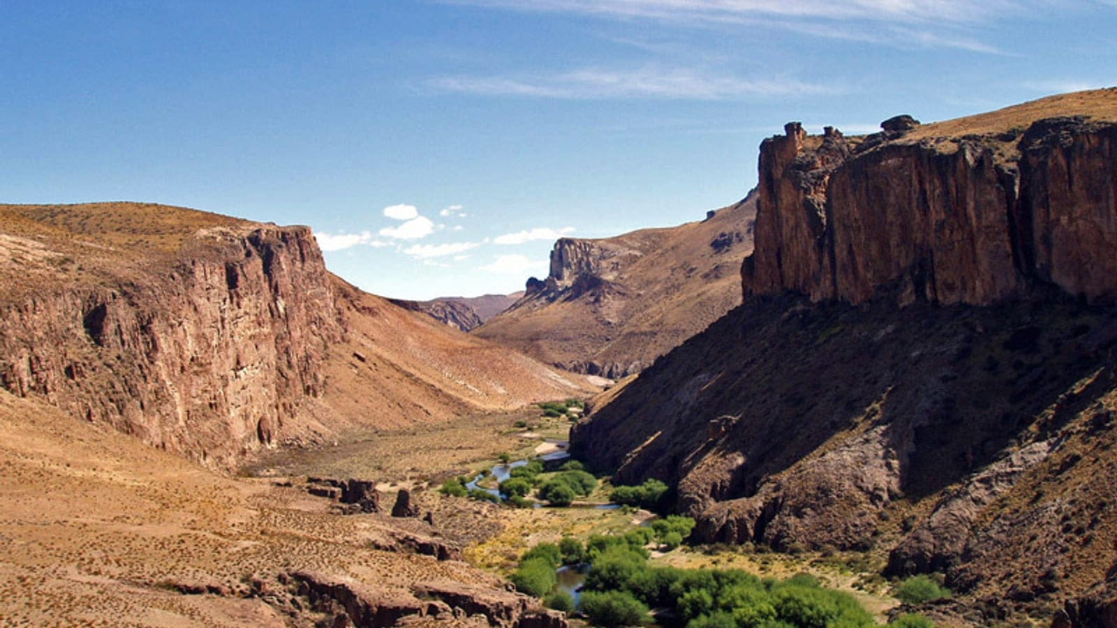Arbustos de estepa sobre un río bordeado de sauces en el cañón del Rio Pinturas, Santa Cruz, Argentina.