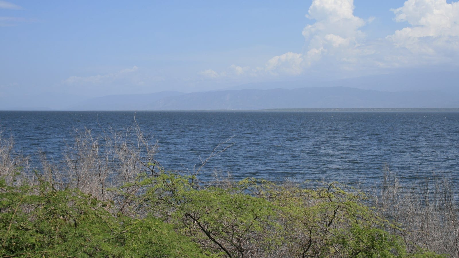 Lake Enriquillo wetland and arid Caribbean basin vegetation.