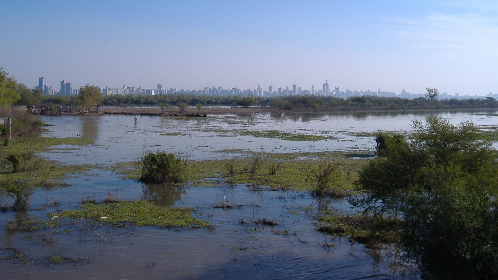 Flooded marsh and low islands with the Rosario skyline beyond, Parana delta, Argentina.