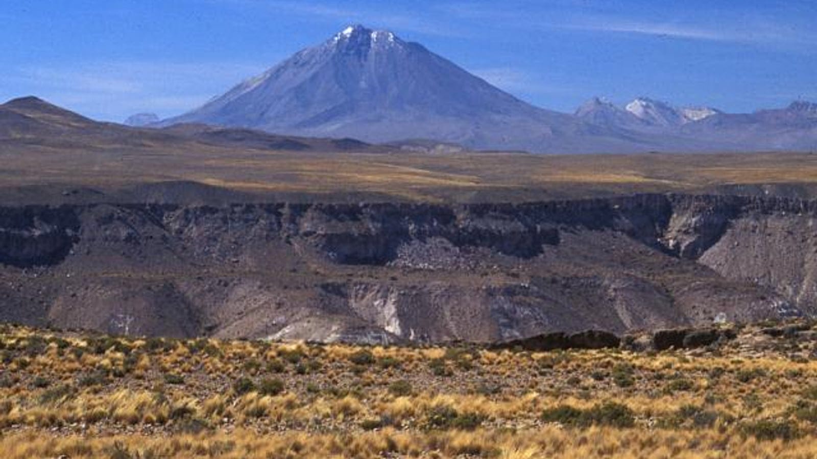 Puna grassland and volcanic highlands near Tacora in the Central Andes.