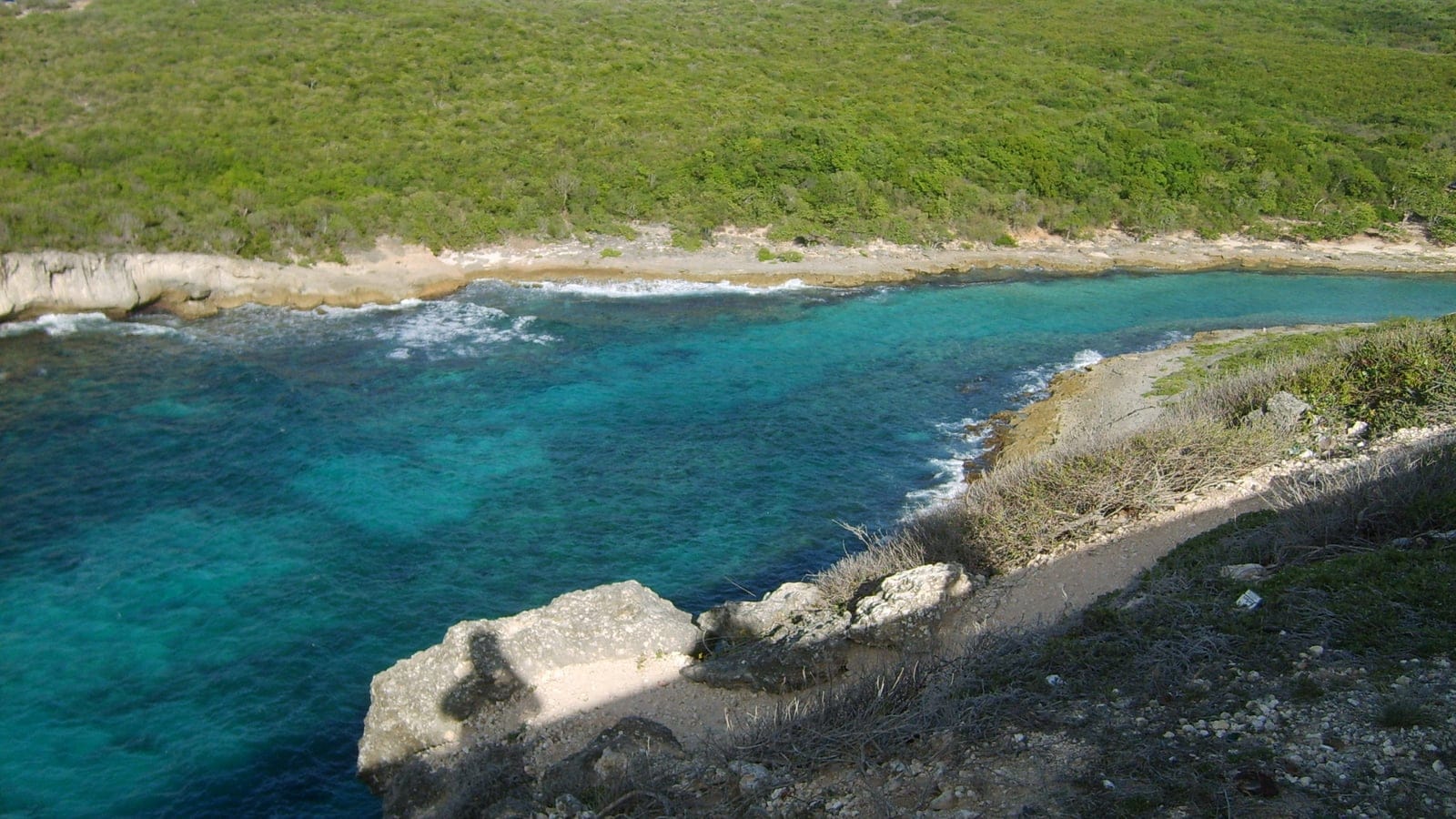 Low coastal scrub on limestone above a turquoise inlet at Porte d'Enfer, Guadeloupe.