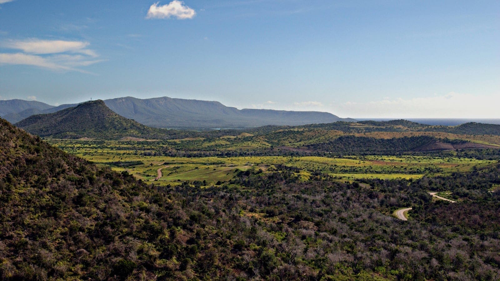 Dry Cuban cactus scrub and coastal xeric hills near Guantanamo.