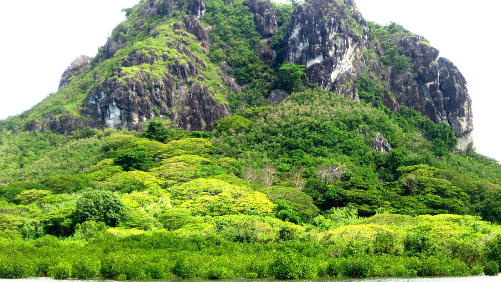 Fiji tropical moist forest around Navatu Rock.