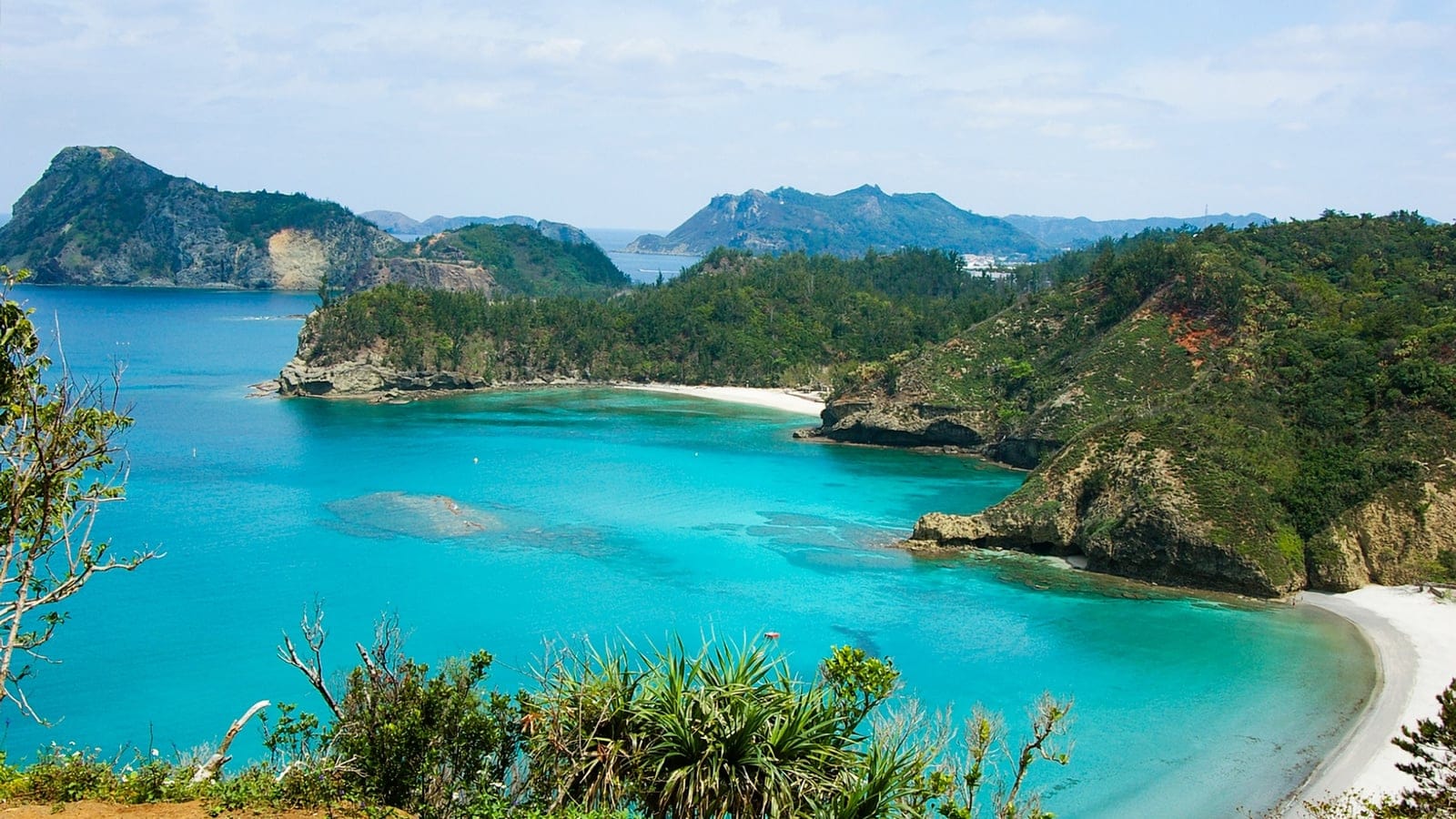 Pandanus and dense scrub above a turquoise bay on Chichijima, Ogasawara Islands.