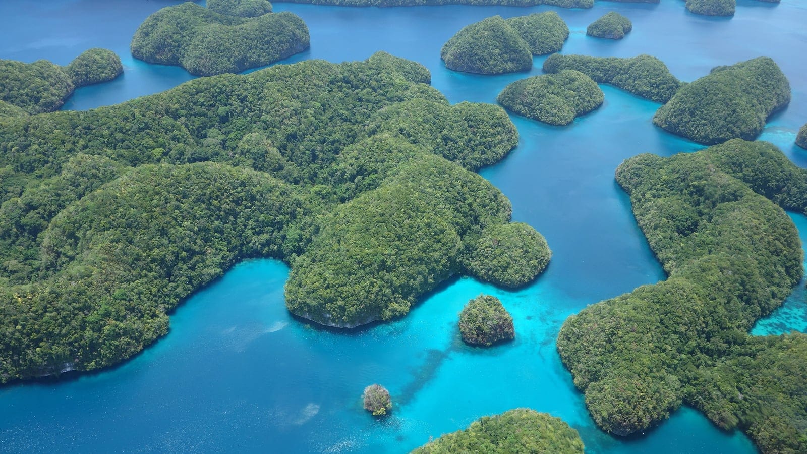 Forest covered limestone islets in the turquoise lagoon of the Rock Islands, Palau.