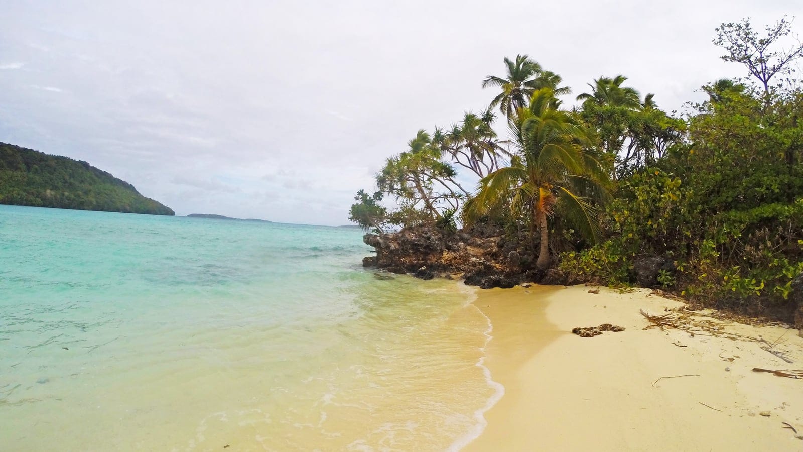 Coconut palms and pandanus on undercut limestone above a white sand beach, Nuku Island, Vava'u, Tonga.