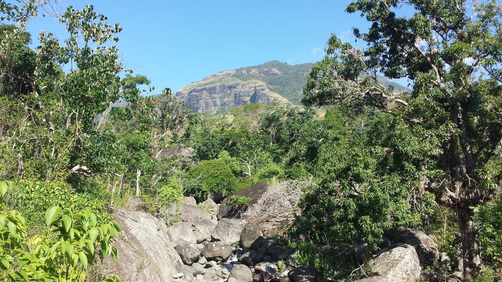 Fiji tropical dry forest and upland slopes near Mount Batilamu.