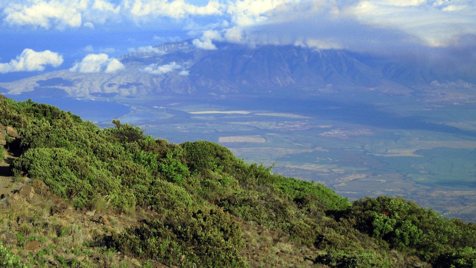 Subalpine shrubland on the upper slopes of Haleakala, Maui, with the island below.