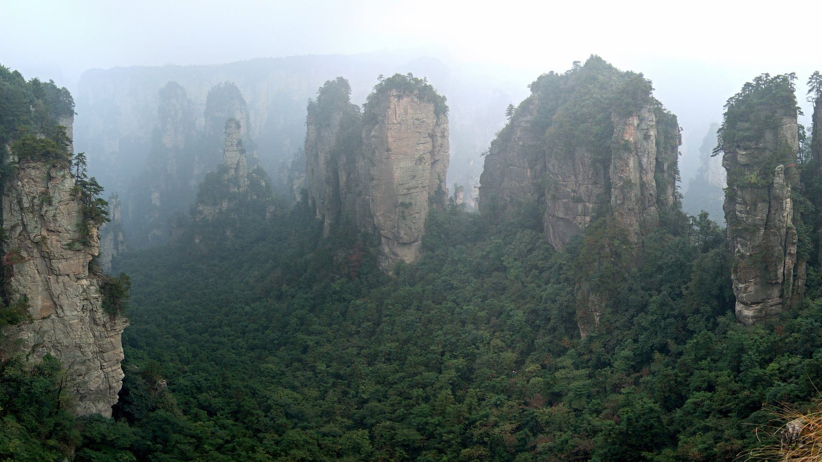 Pilares de arenisca coronados por pinos sobre bosque de frondosas en Wulingyuan, Hunan, China.