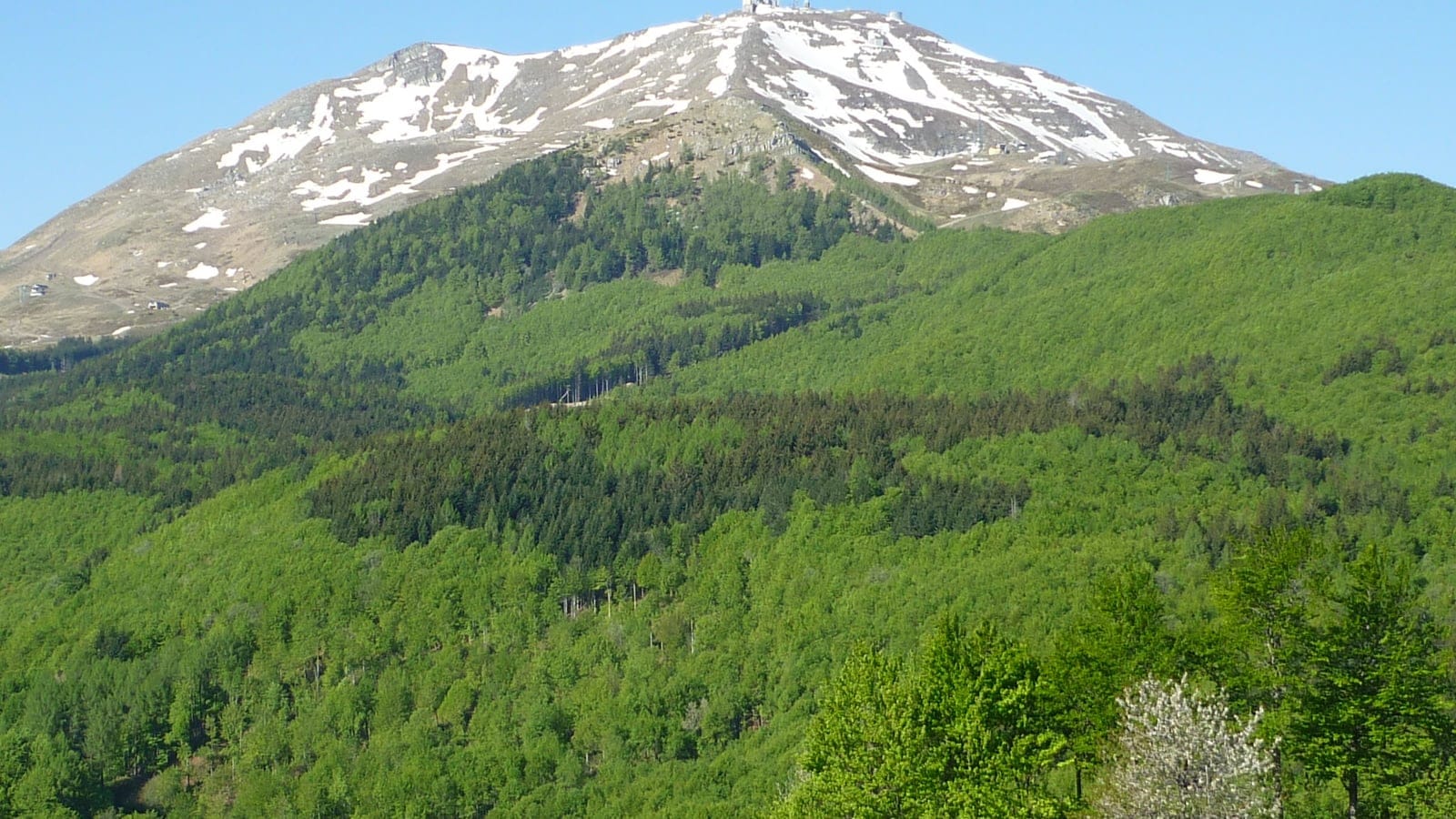 Forested slopes below Monte Cimone in the Apennines.