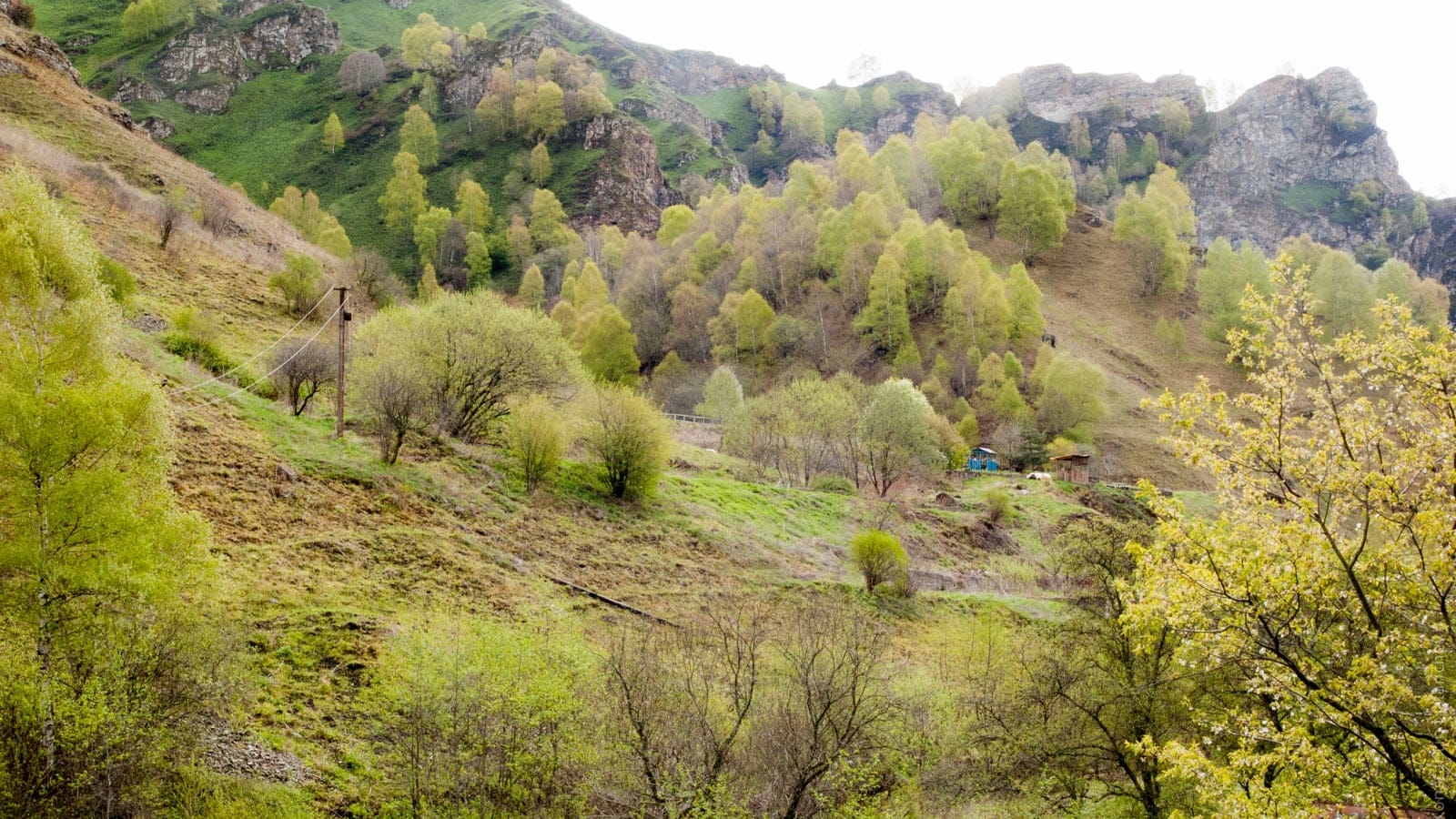 Mixed woodland and rocky slopes in the Caucasus mountains.