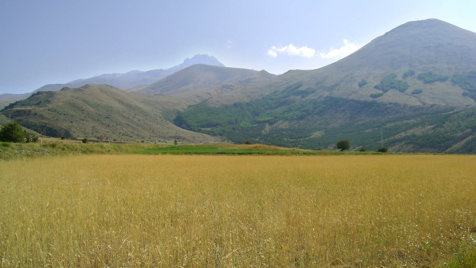 Open Central Anatolian steppe and woodland foothills below Mount Erciyes.