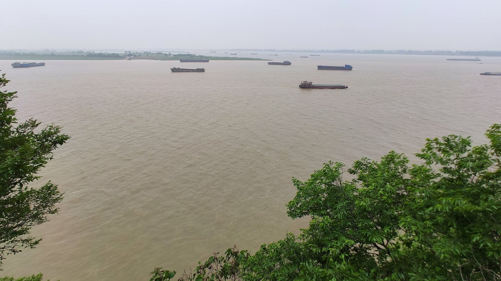 Cargo barges on the silt brown Yangtze seen through riverside trees at Hukou, Jiangxi, China.