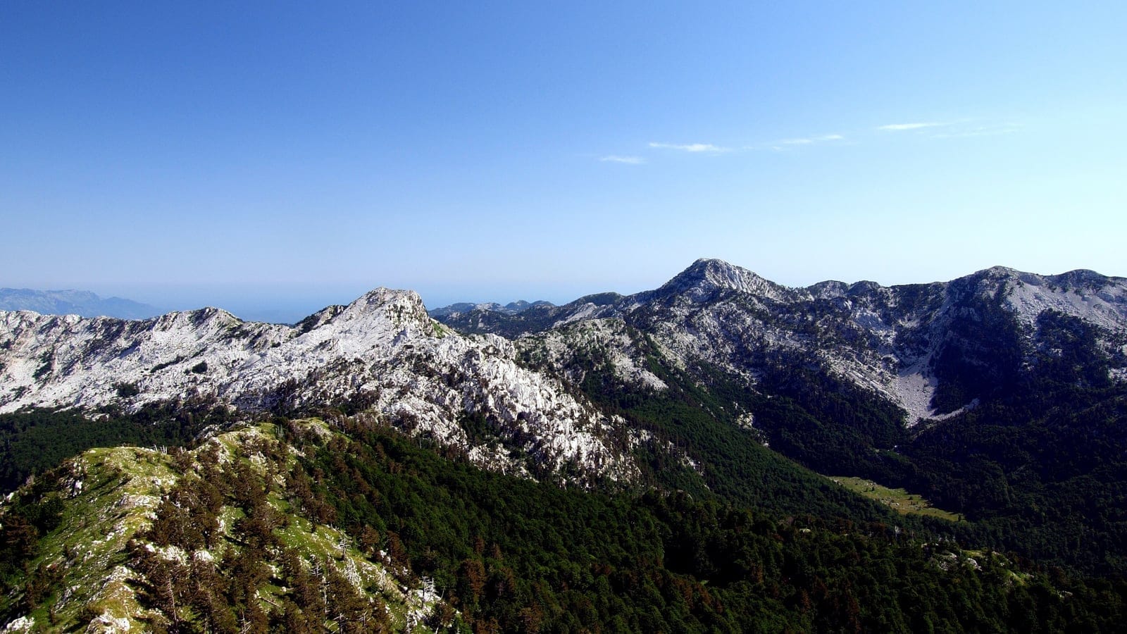 Mixed mountain forest and rocky slopes in the Orjen range of the Dinaric Mountains.