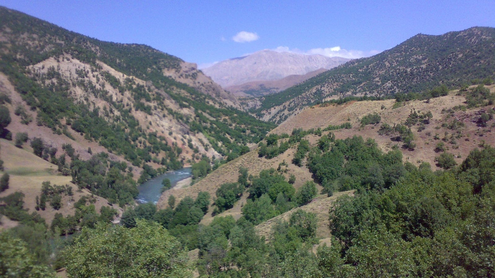 Eastern Anatolian mountain slopes with deciduous woodland and open upland terrain.