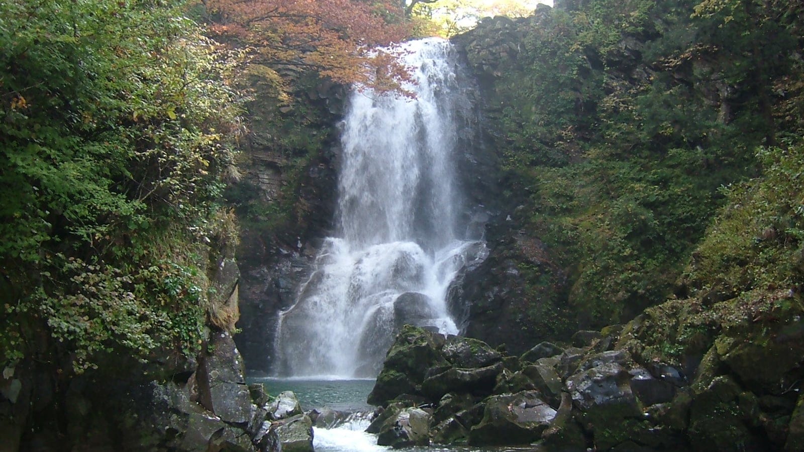 Autumn deciduous foliage above a mossy waterfall gorge in Akita, Japan.