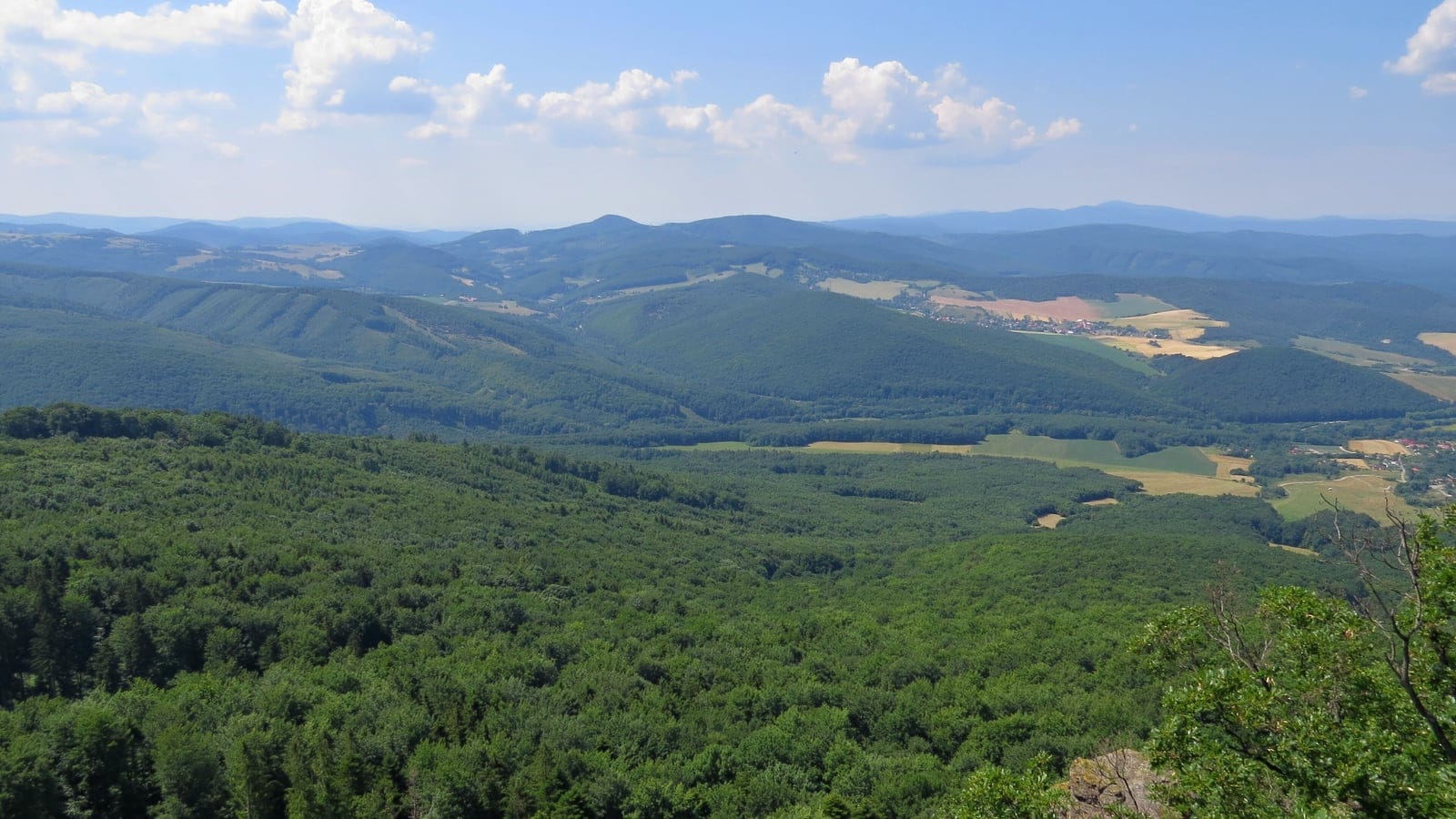 Continuous broadleaf forest over hills above farmland at Buchlov, Czechia.
