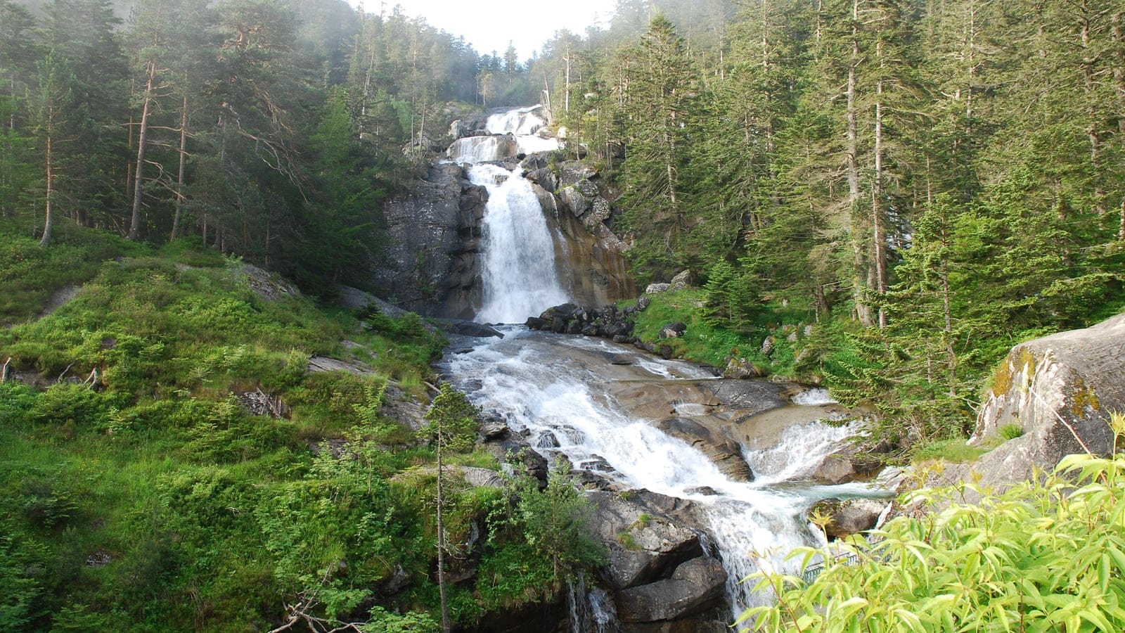 A cascade falling through mountain pine forest at Pont d'Espagne in the Pyrenees, France.