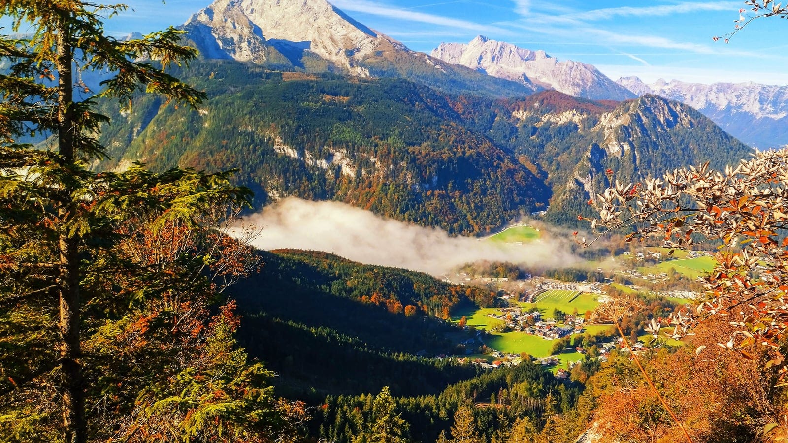 Autumn conifer and mixed forest below the Watzmann in the Bavarian Alps.