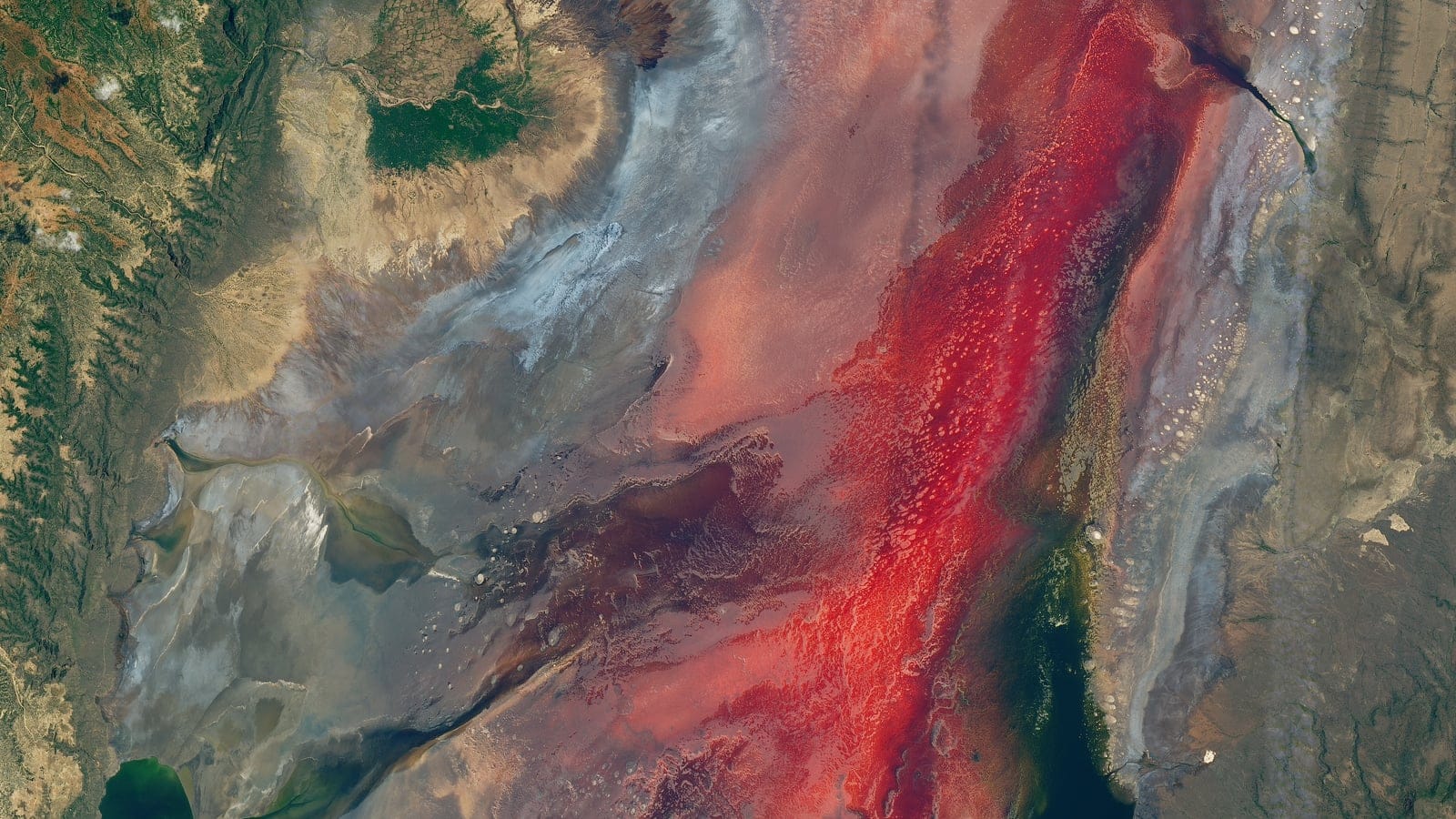 Satellite view of red brine streaks and white salt crusts on Lake Natron, Arusha Region, Tanzania.