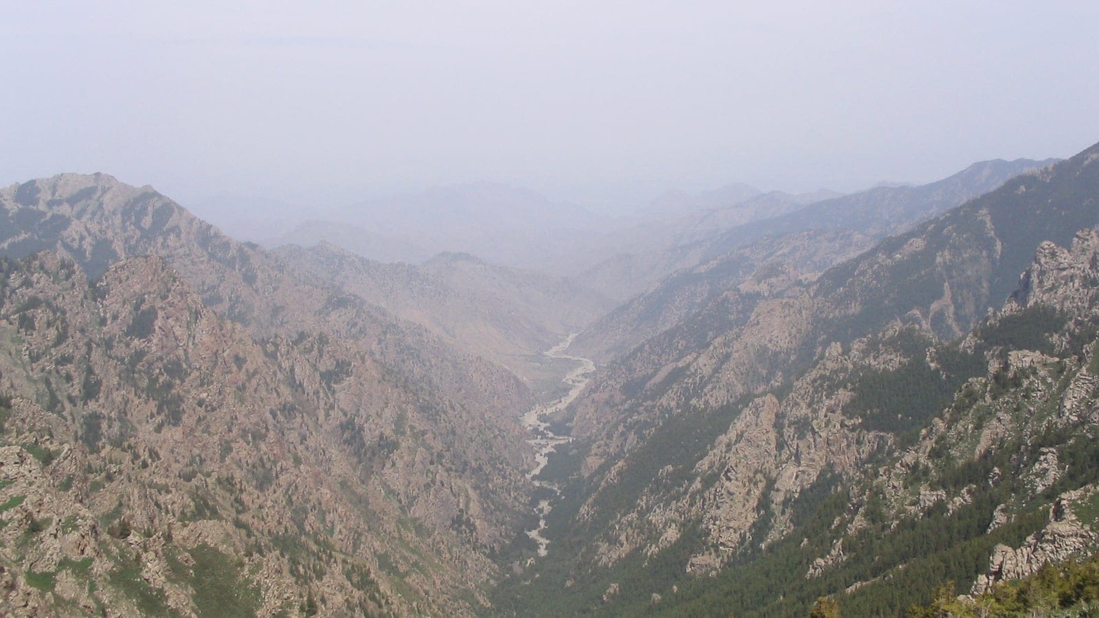 Conifers on shaded slopes above a dry valley floor in the Helan Mountains, China.