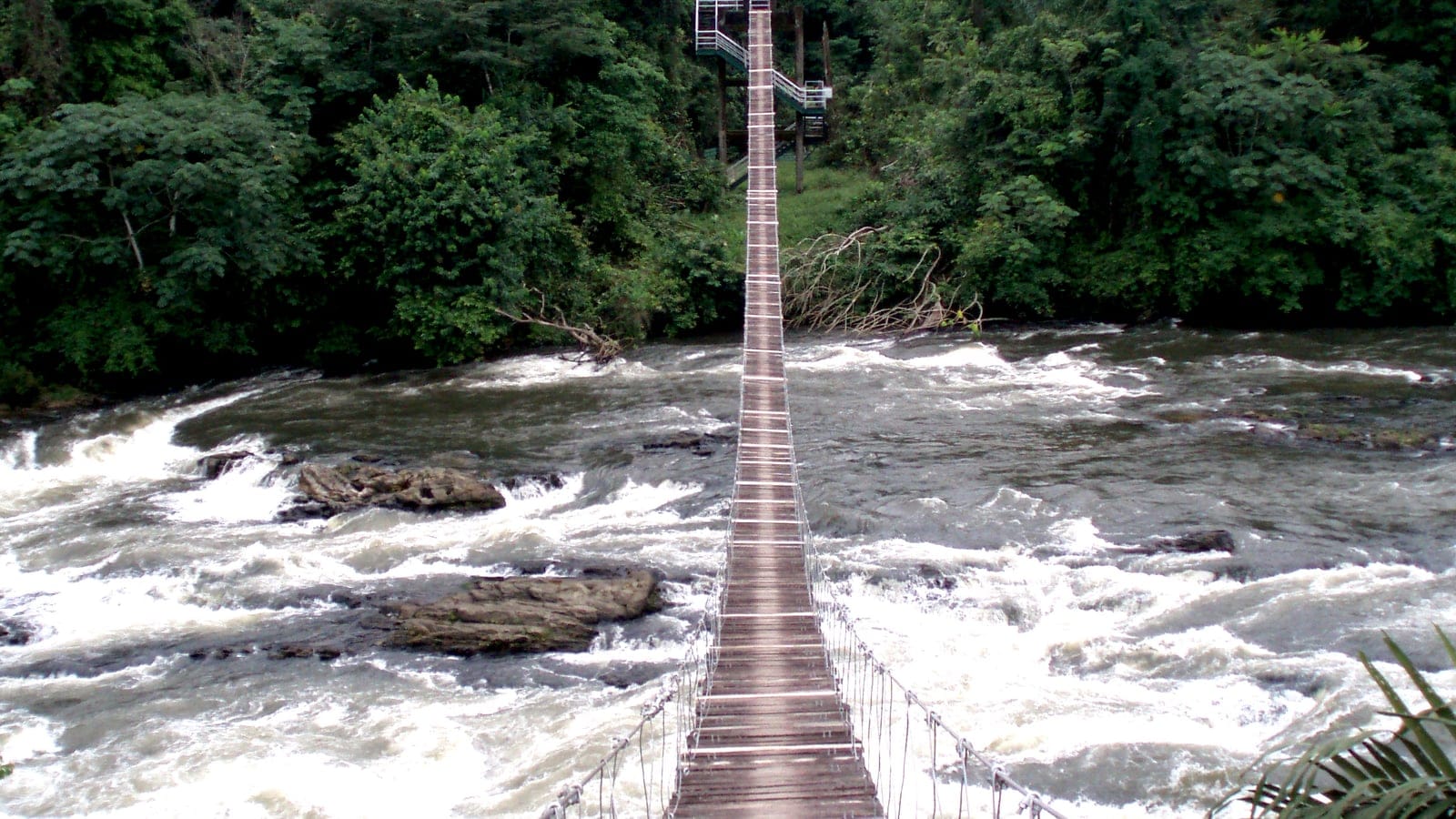 Suspension footbridge crossing the rapids of the Mana River at the Korup National Park entrance, Cameroon.