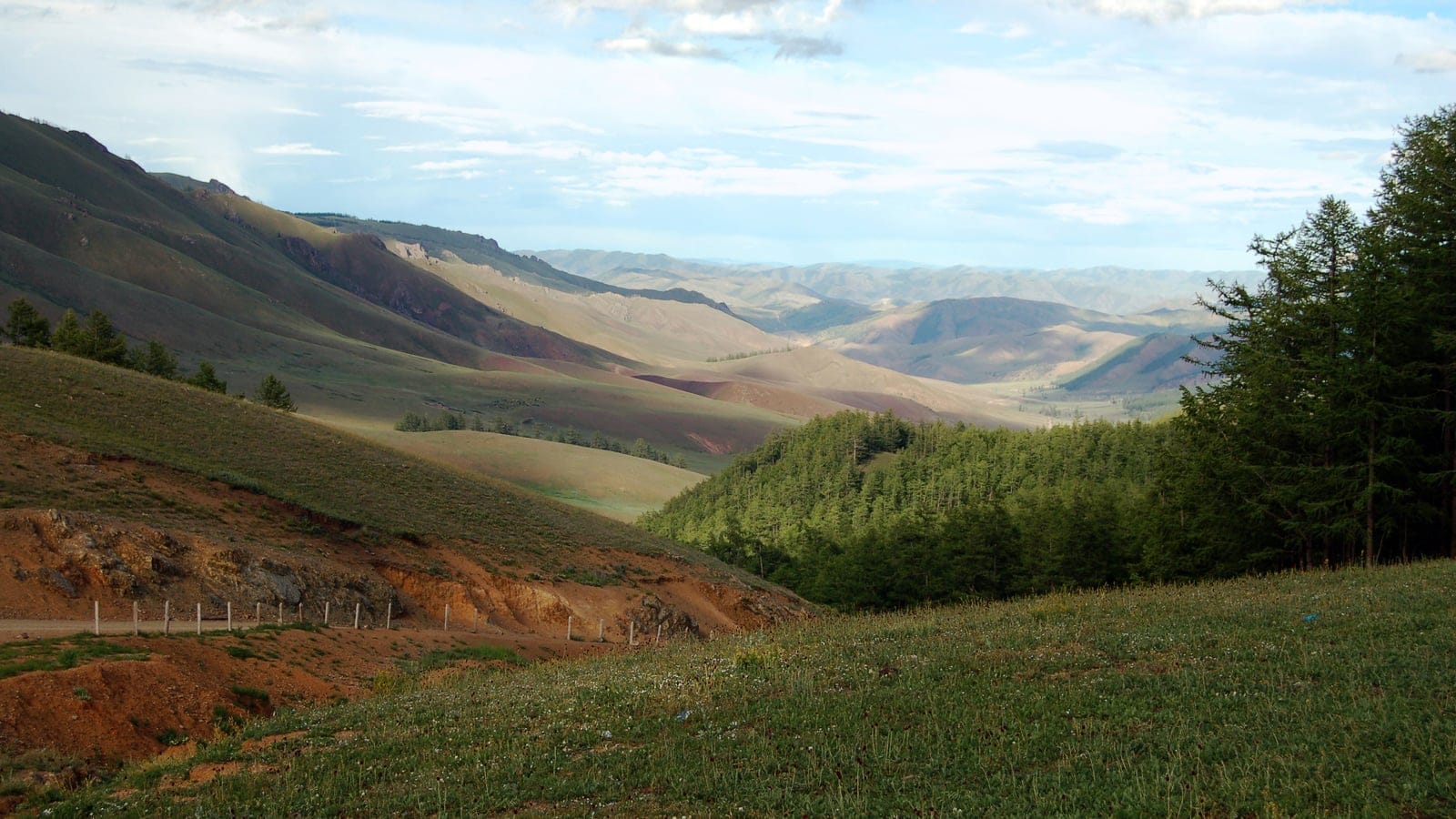 Conifer forest in the valley below open grassy slopes in the Khangai range, Mongolia.