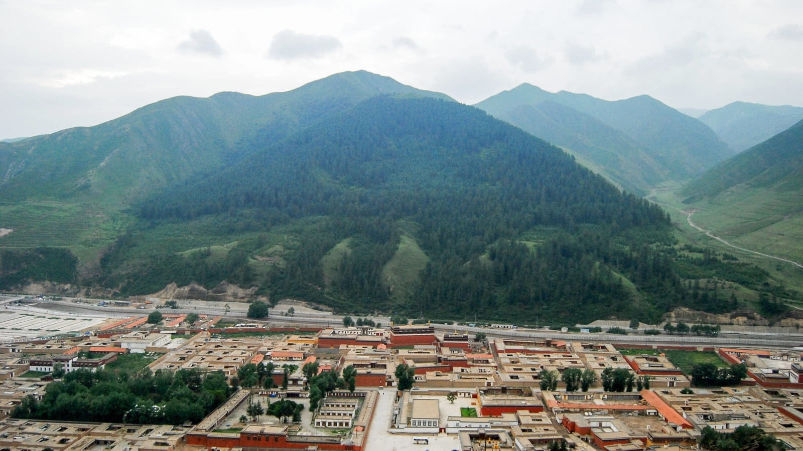 Bosque oscuro de coníferas en laderas montañosas sobre los patios abarrotados del monasterio de Labrang, Xiahe, Gansu, China.