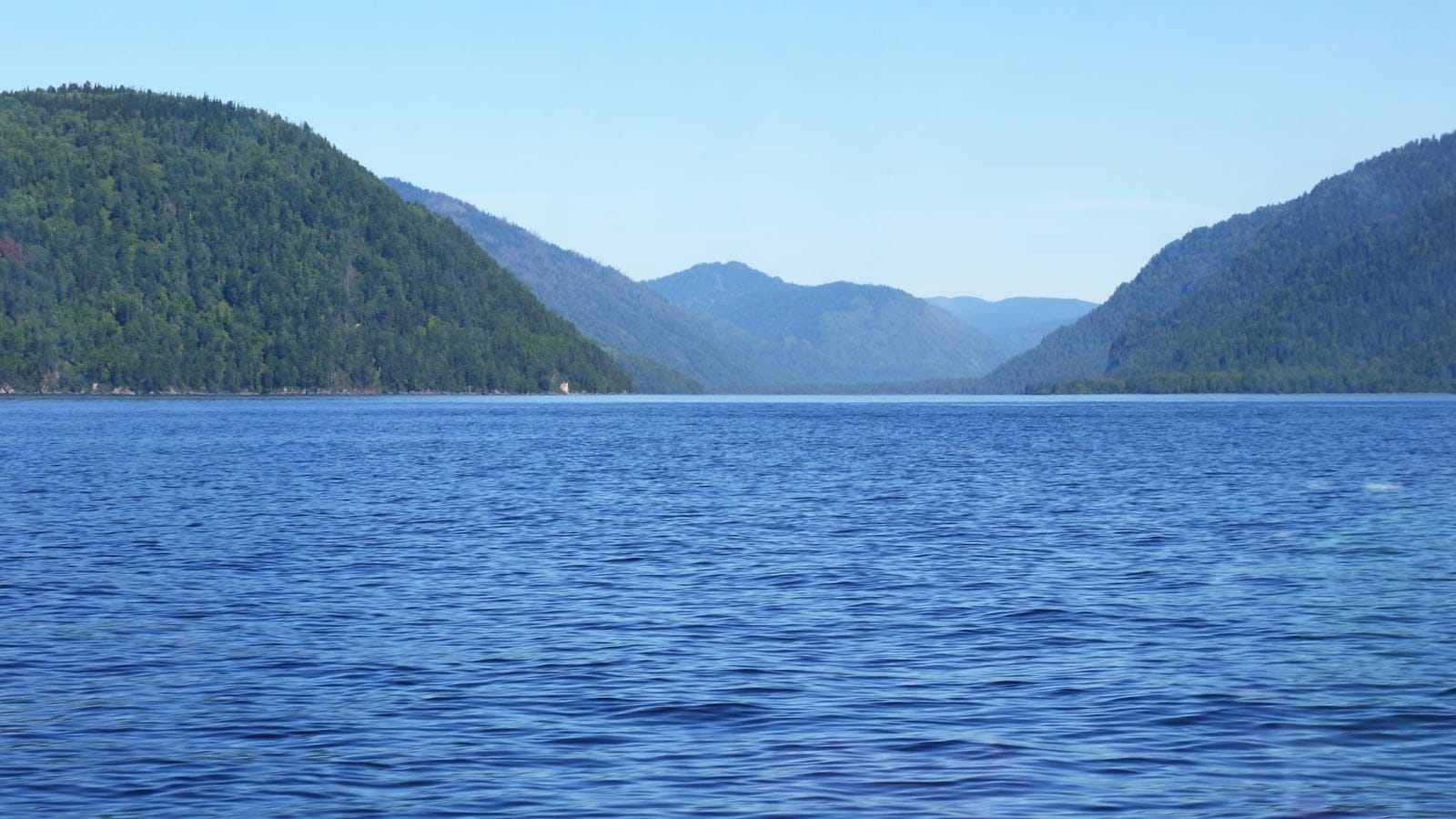 Conifer-clad ridges standing back from the open blue water of Lake Teletskoye, Altai, Russia.