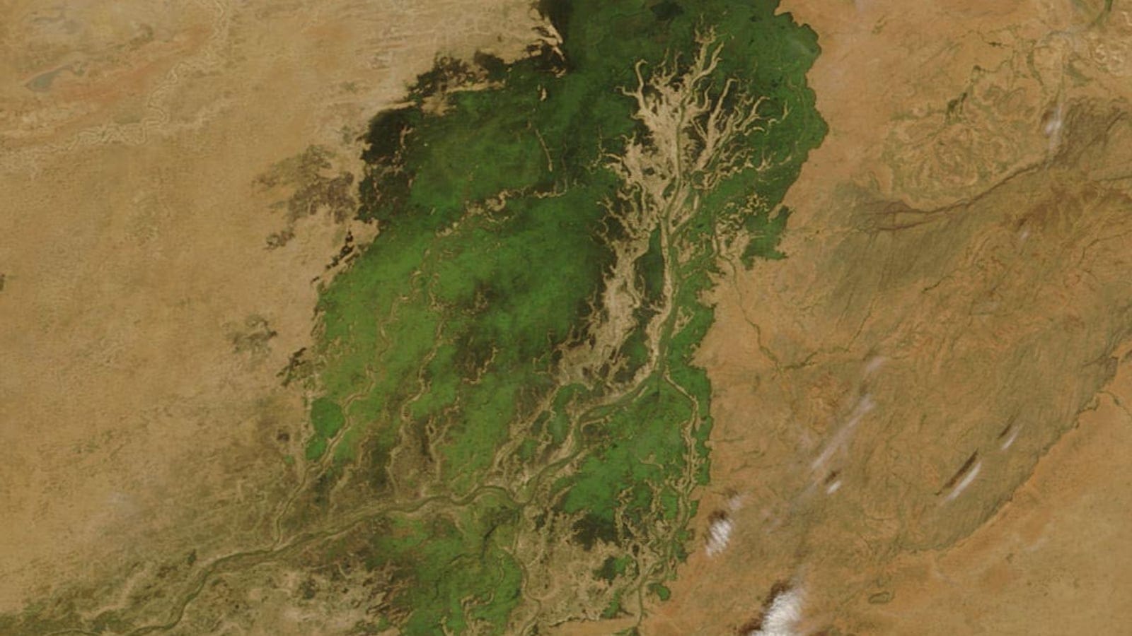 Satellite view of the green flooded plain of the Inner Niger Delta against surrounding Sahel sand, Mali.