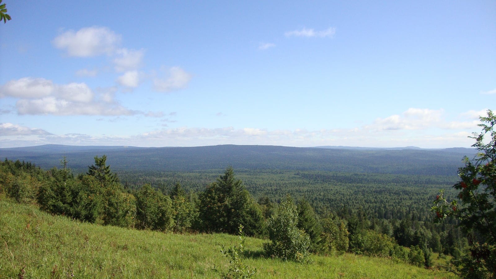 Spruce and birch taiga rolling away to low Ural summits above a grassy hilltop clearing, Basegi, Russia.