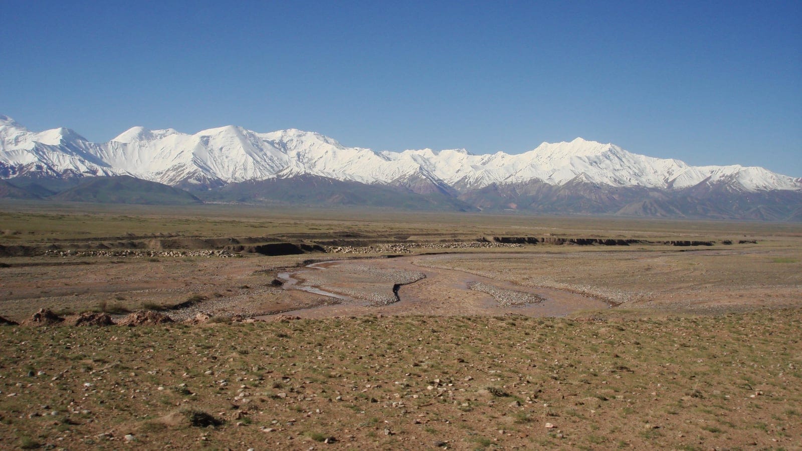 Open Alai Valley steppe below snow-capped mountains in Kyrgyzstan.