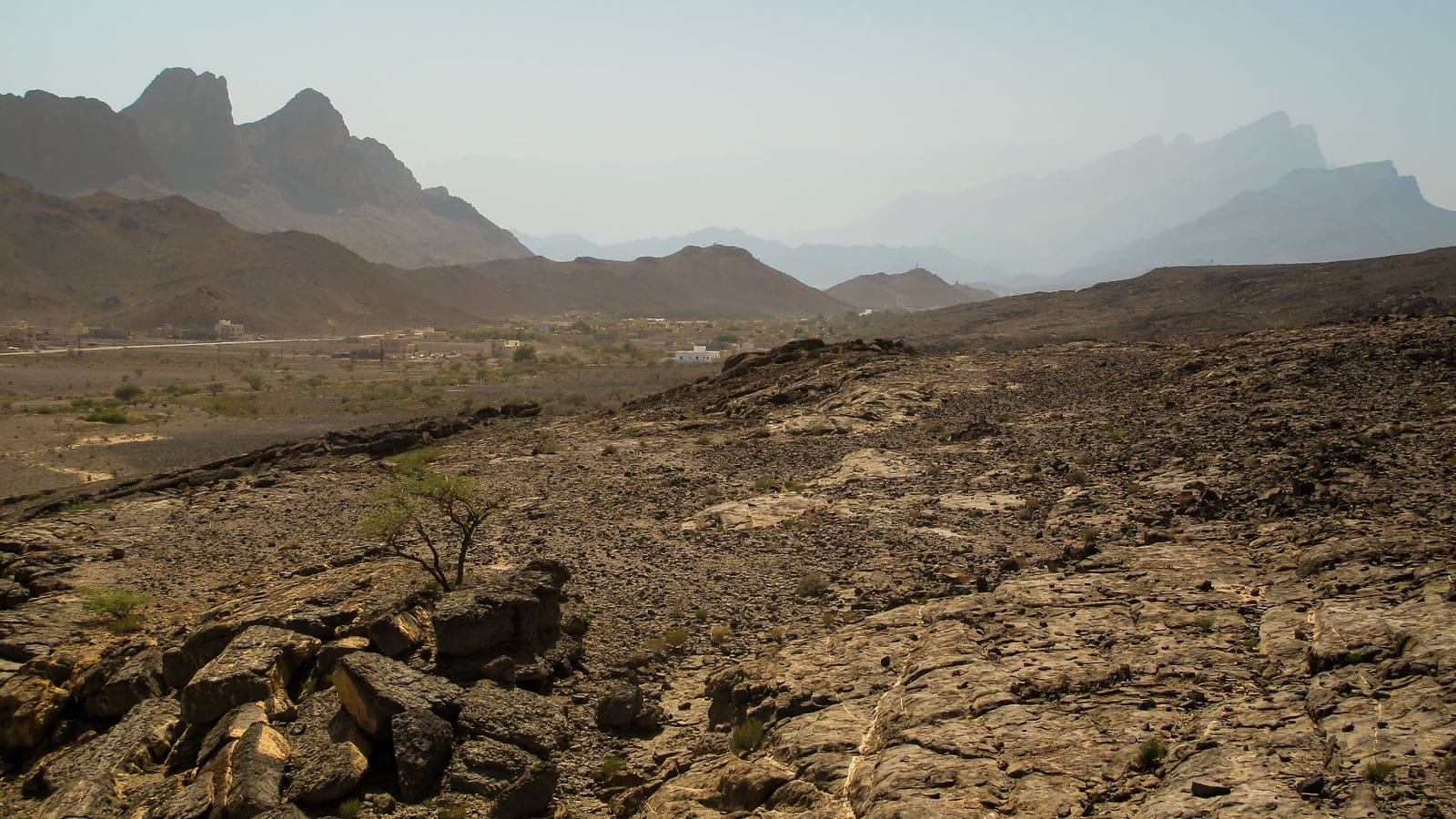 Rocky Hajar foothill landscape near Al Hoota, Oman, with sparse xeric shrubs and trees.
