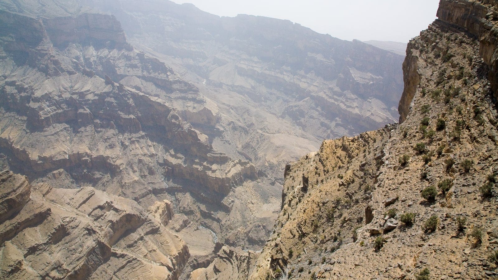 Rocky Jebel Shams canyon slopes with sparse montane shrubland in the Hajar Mountains of Oman.