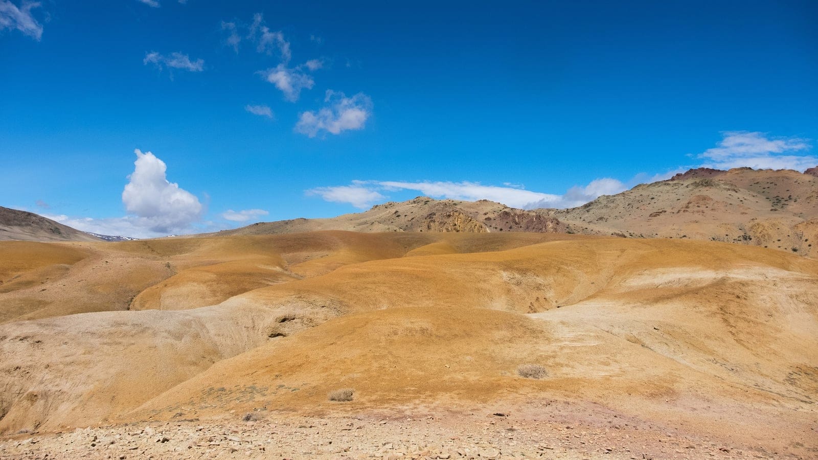 Rounded ochre hills with sparse grey shrubs and a stony wash below, Russian Altai.
