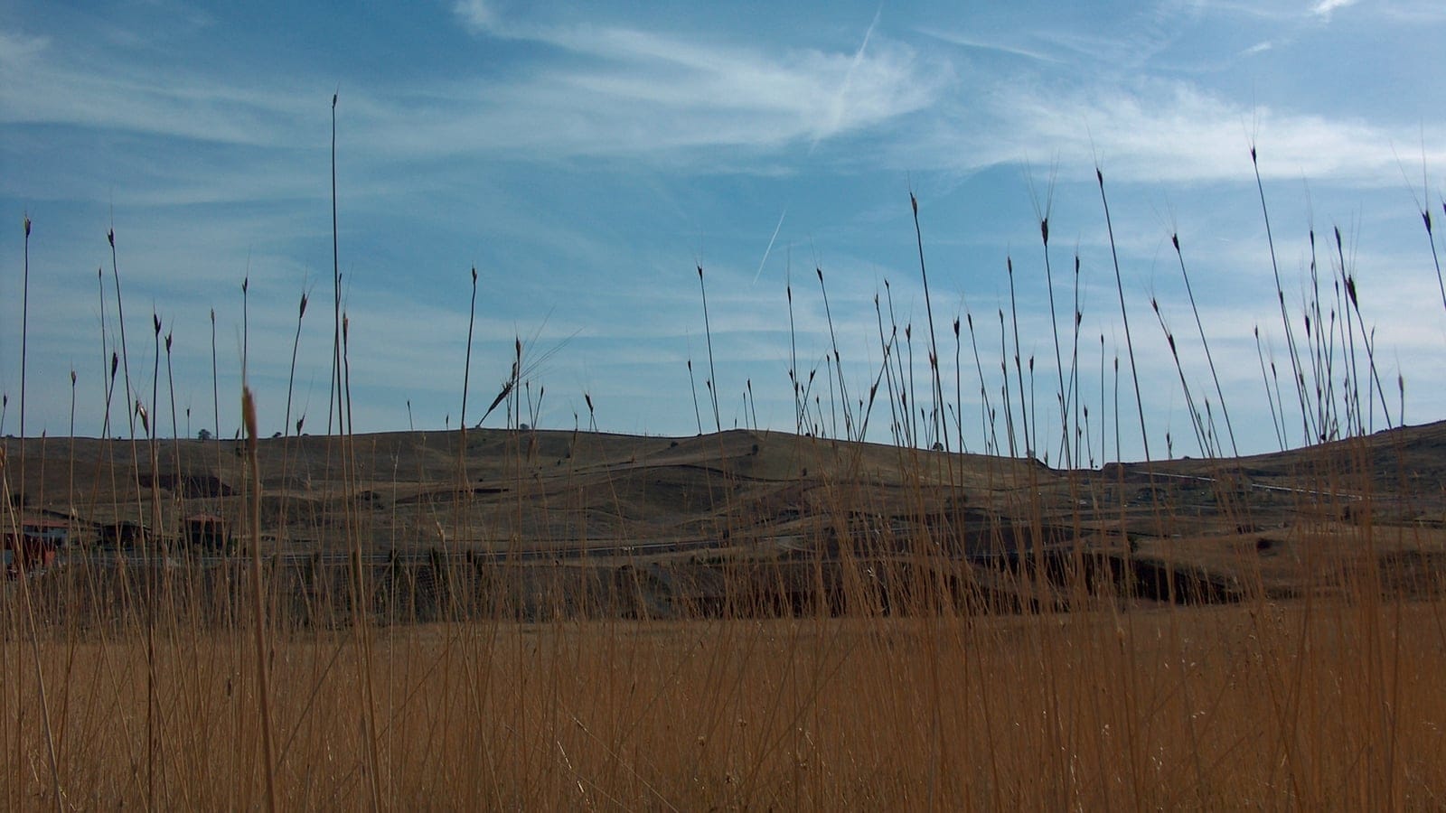 Open Central Anatolian steppe with reeds, dry grassland, and distant rural highland context.